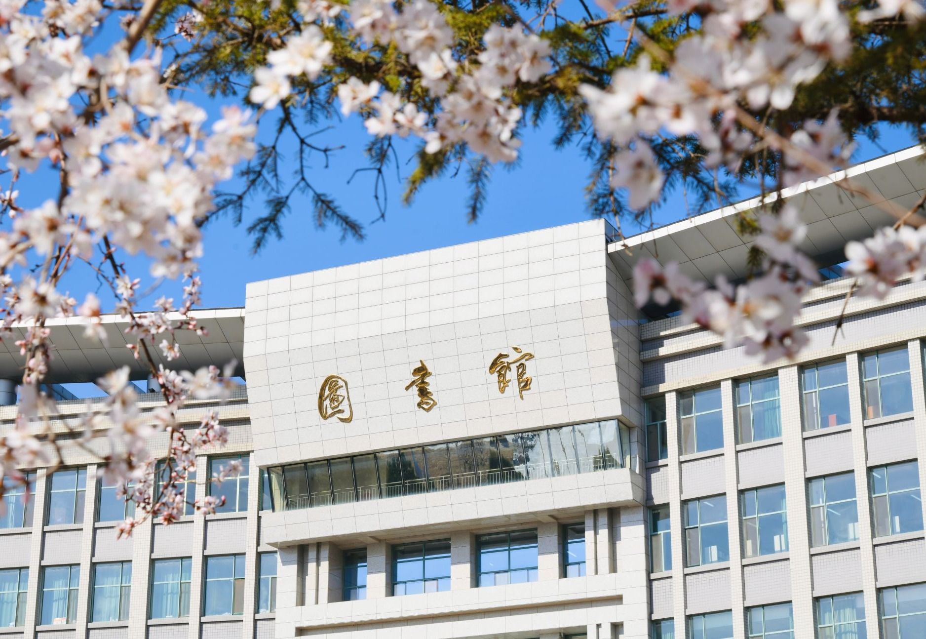 四月启序！