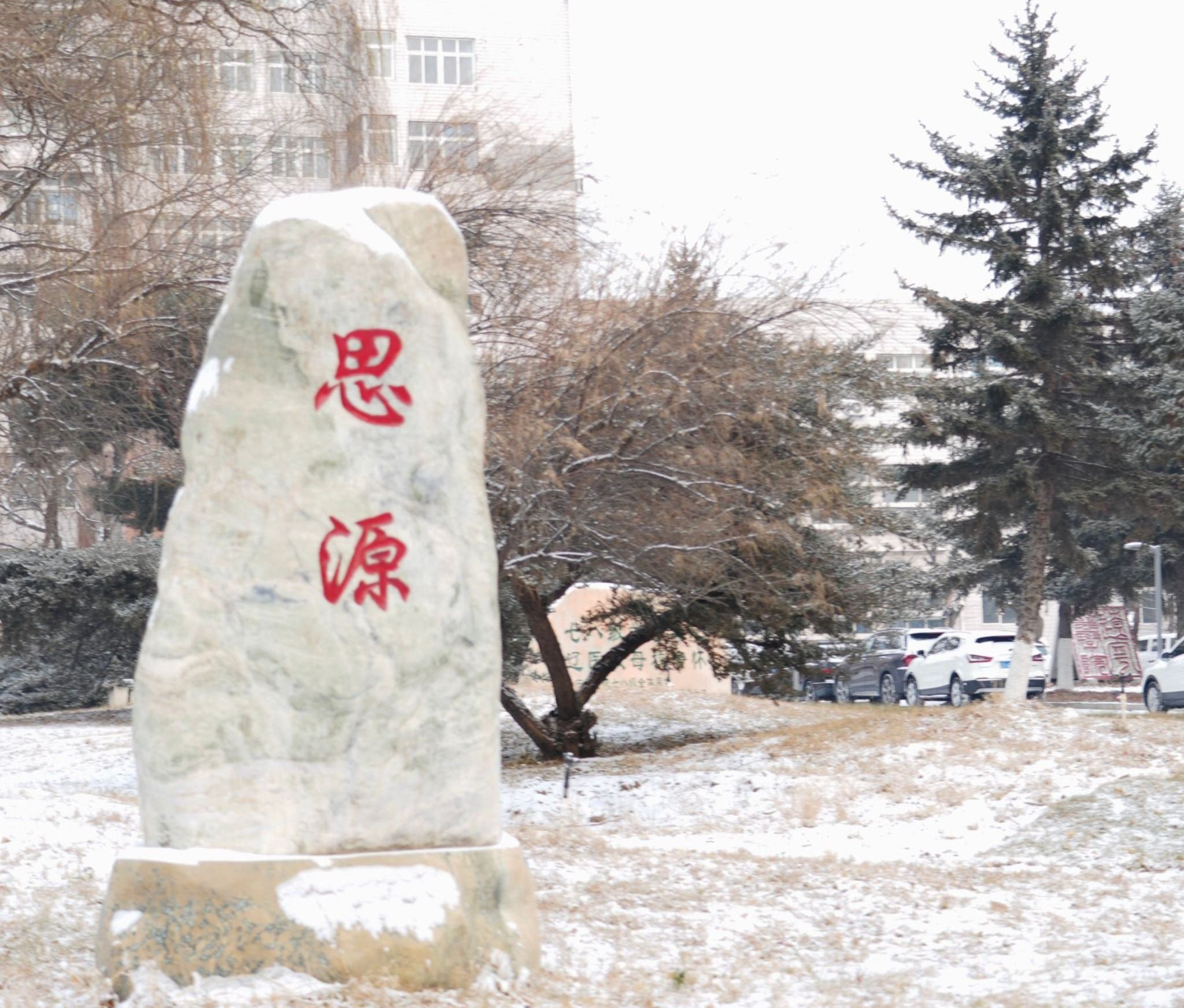 雪落锦医 定格冬日校园的美！