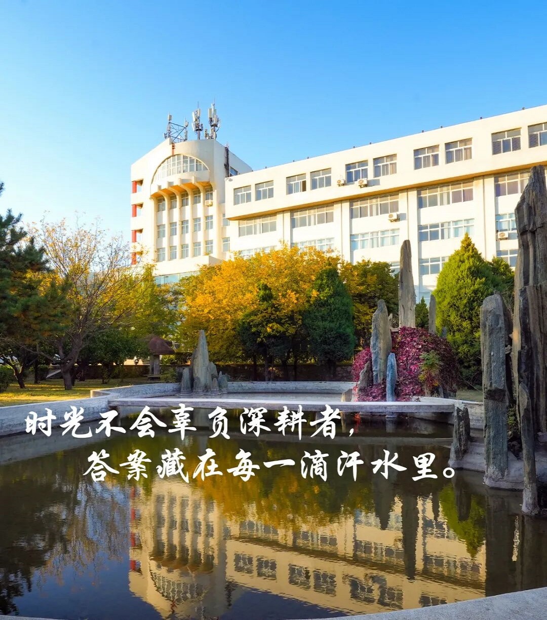 拥抱冬日暖阳，积蓄梦想力量！
